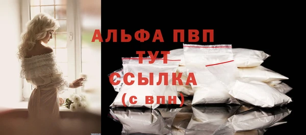 амф Новозыбков