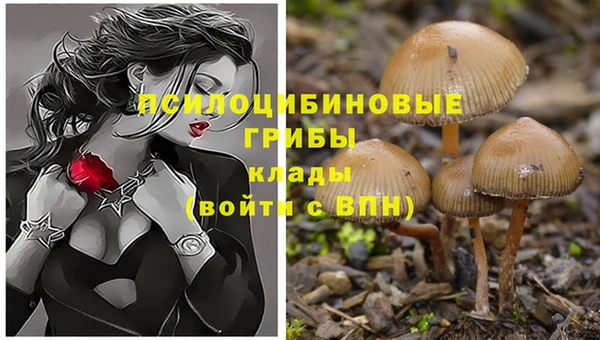 прущие крисы Абаза
