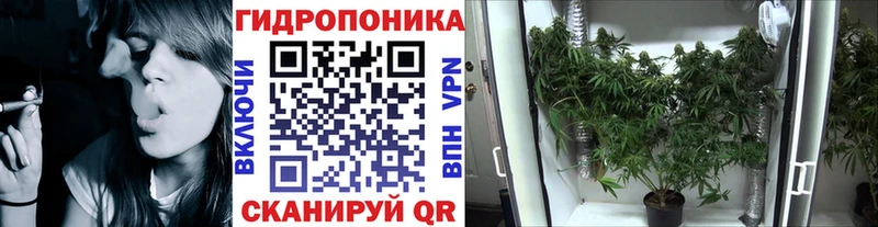 Марихуана AK-47  где продают наркотики  Балаково 